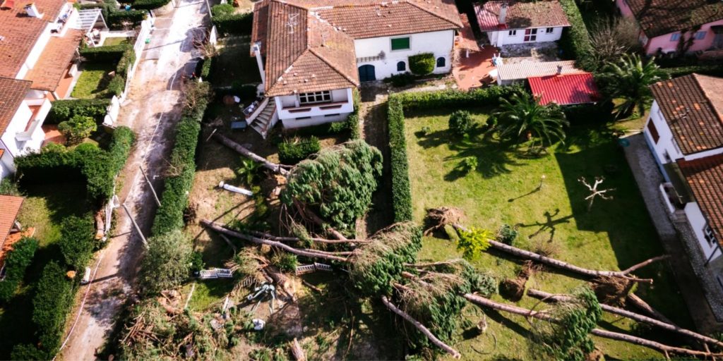 Aerial view of a residential area showing fallen trees and debris scattered across gardens and streets after a storm, leading to numerous first-party property insurance claims.